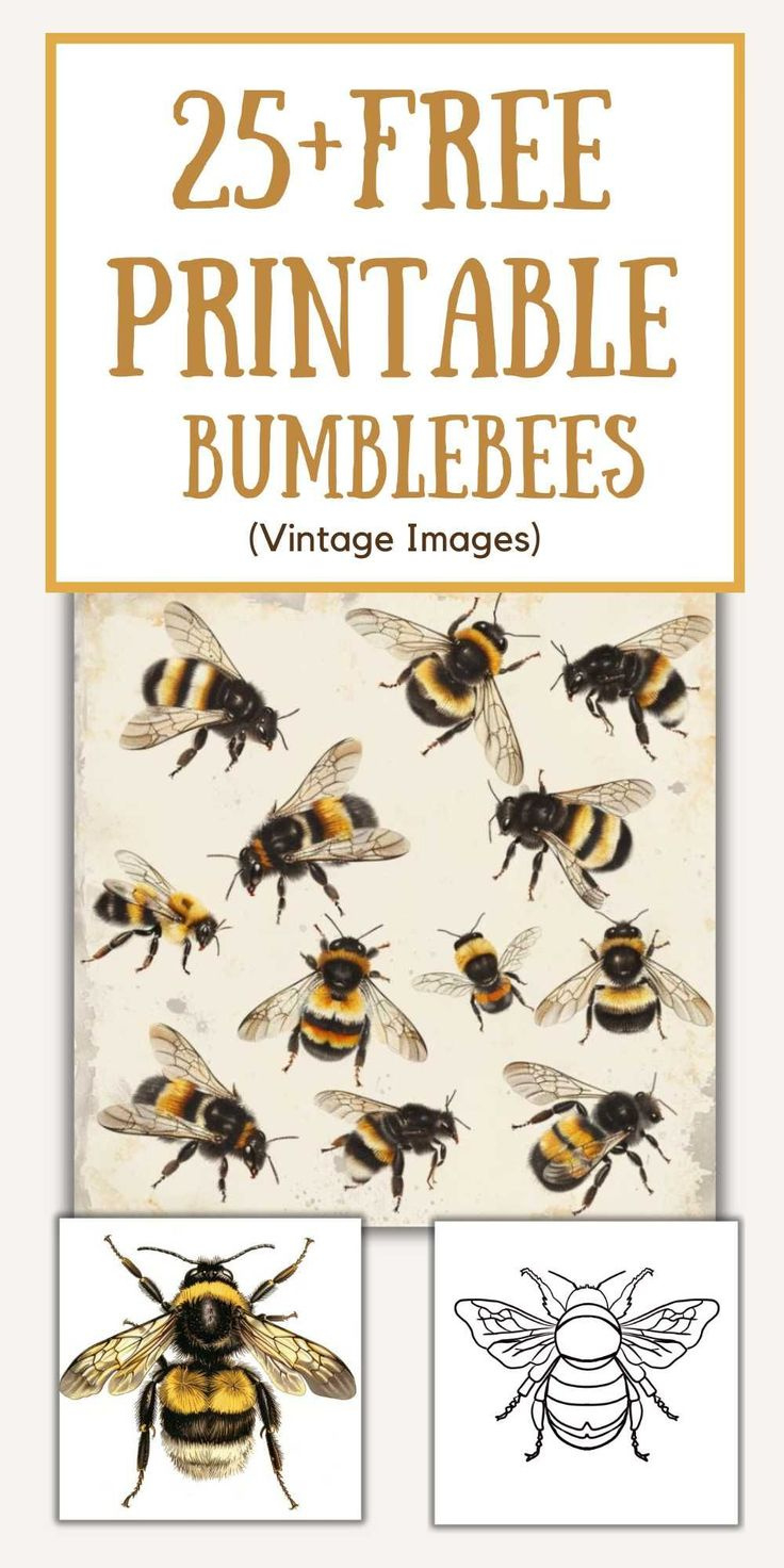 25+ Free Printable Bumble Bees (Printable Pdf) intended for FREE Printable Bumble Bee Images