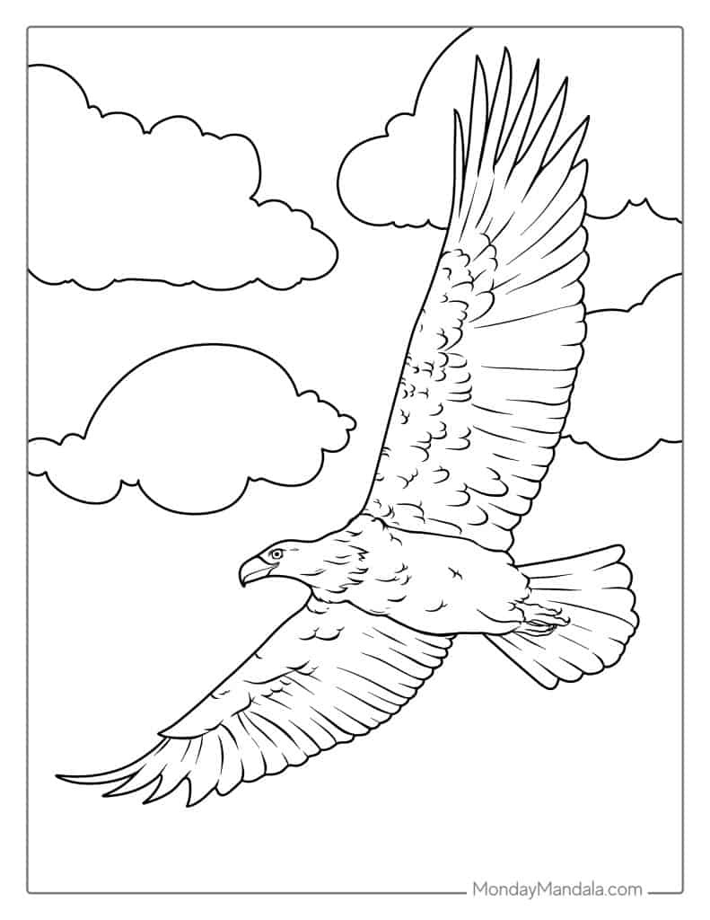 35 Bald Eagle Coloring Pages (Free Pdf Printables) intended for Free Printable Bald Eagle Pictures