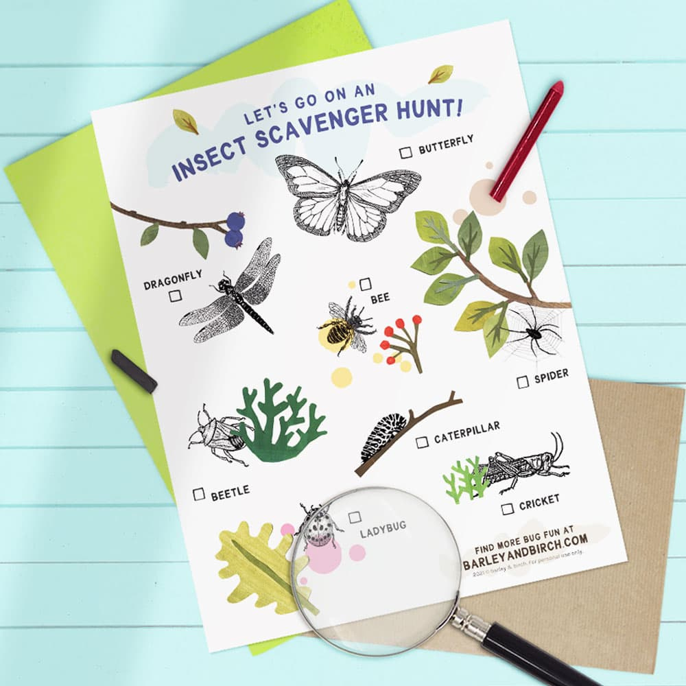 A Free Printable Bug Scavenger Hunt Set: Kids Explore Nature for FREE Printable Bug Hunt Sheets