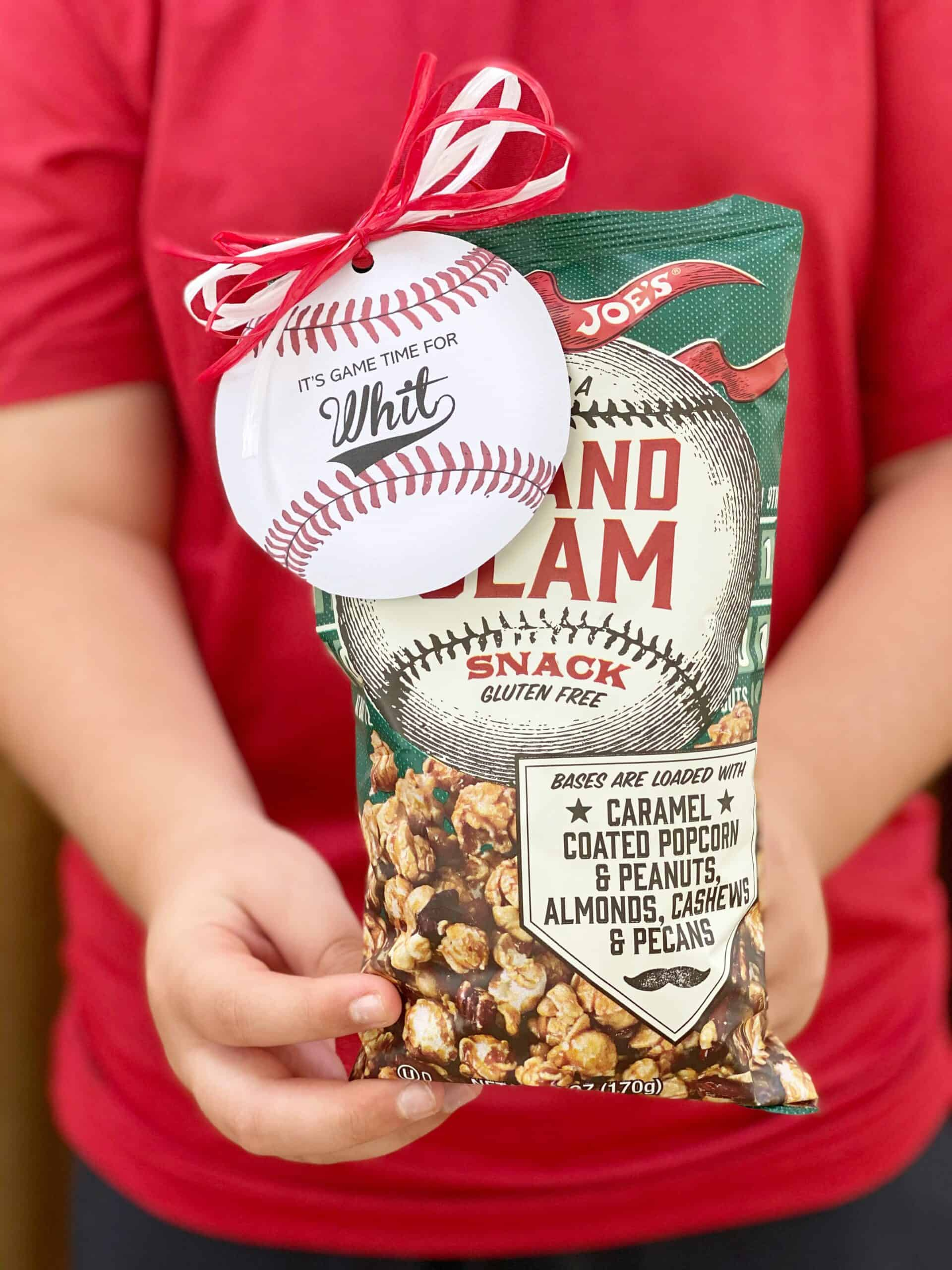 Back To Baseball {Free Printable} – Dixie Delights regarding FREE Printable Baseball Snack Tags