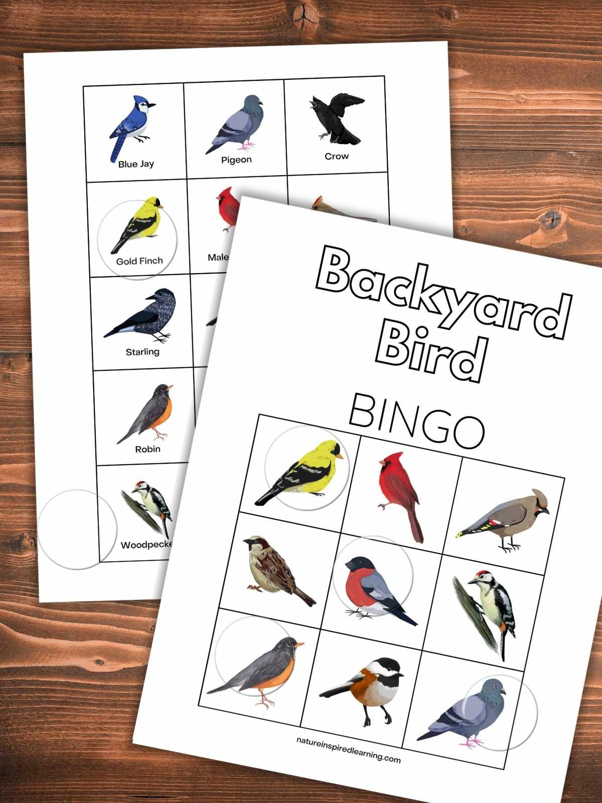 Backyard Bird Bingo Game (Printable) - Nature Inspired Learning pertaining to FREE Printable Bird Bingo Cards