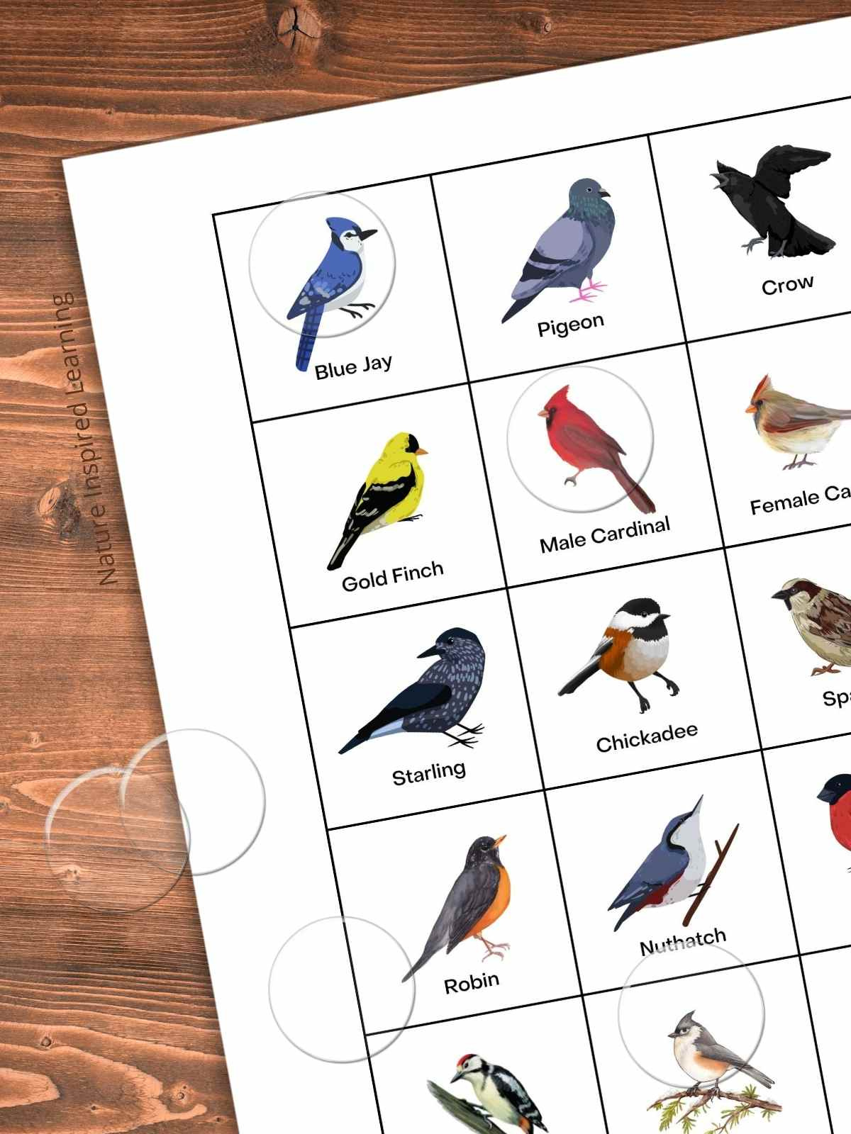 Backyard Bird Bingo Game (Printable) - Nature Inspired Learning with regard to FREE Printable Bird Bingo Cards