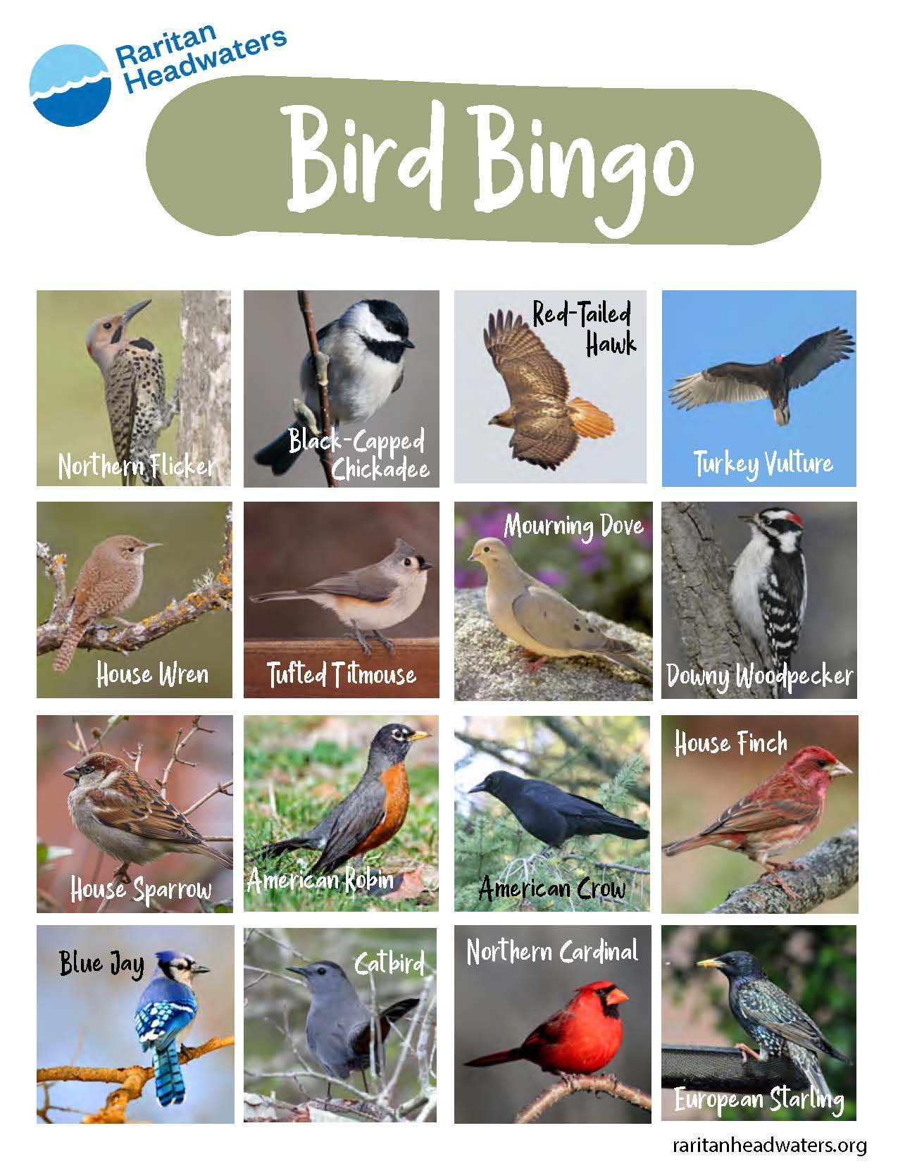 Backyard Bird Bingo! - Raritan Headwaters throughout Free Printable Bird Bingo Cards