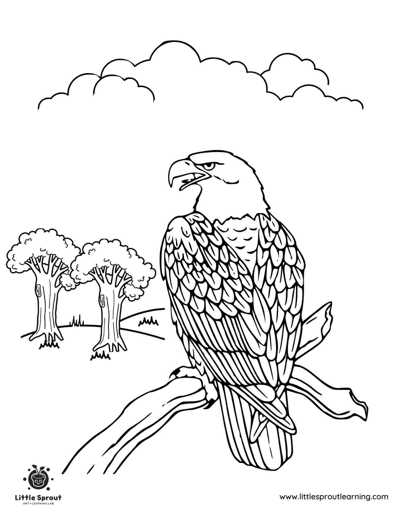 Bald Eagle Coloring Page 2 - Little Sprout Art + Learning Lab inside FREE Printable Bald Eagle Pictures