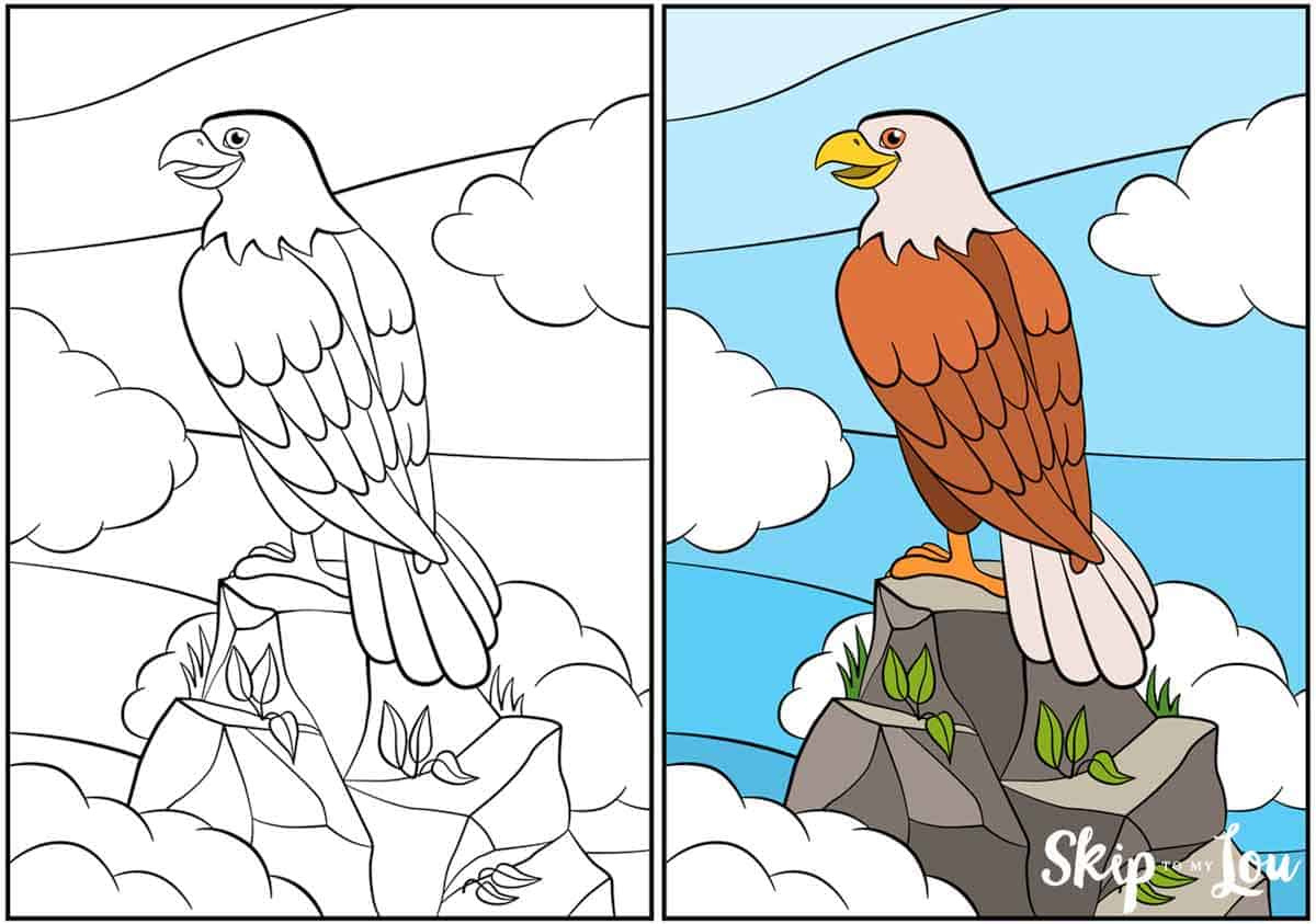 Bald Eagle Coloring Pages | Skip To My Lou regarding Free Printable Bald Eagle Pictures