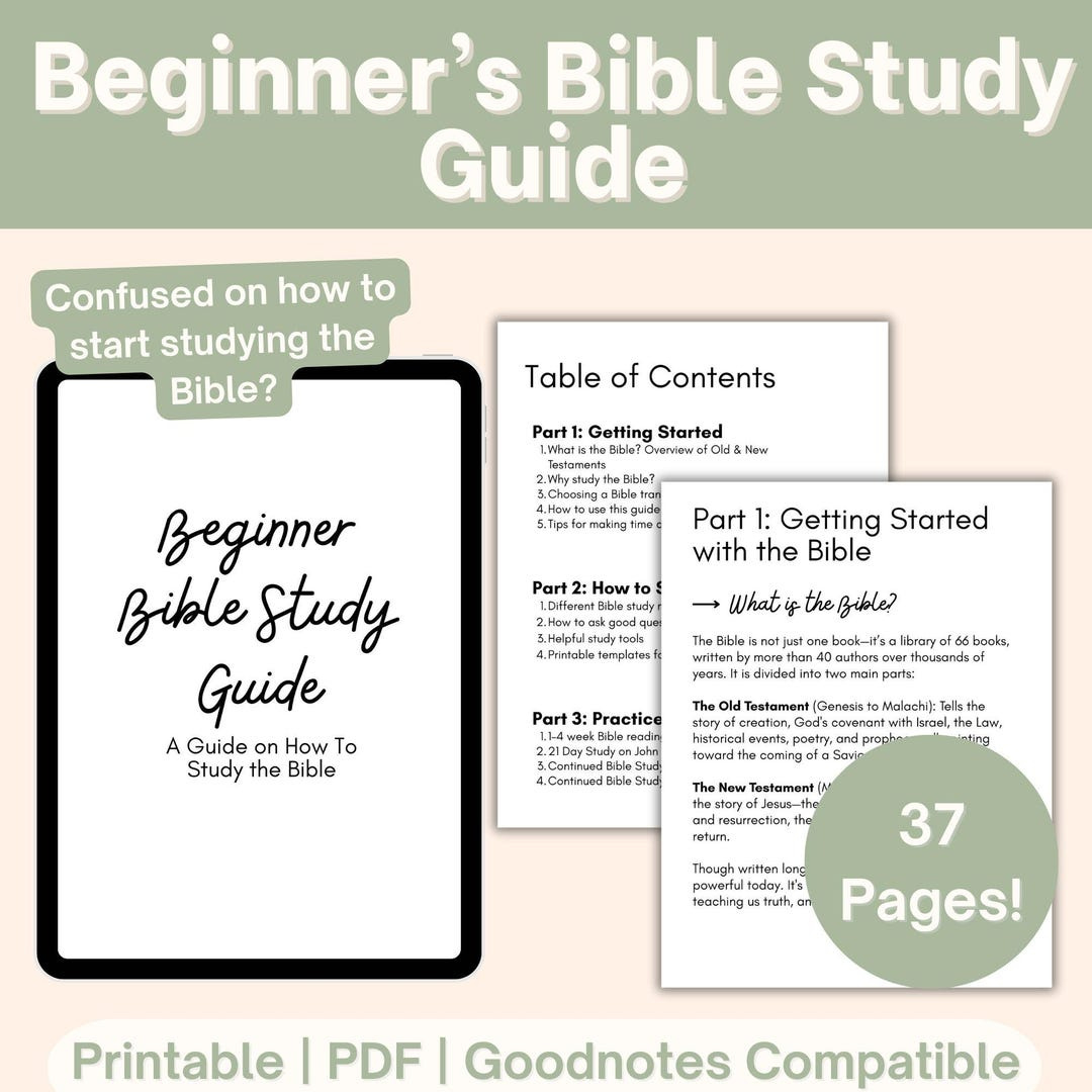 Beginner Bible Study Guide, How To Study The Bible, New Believers with regard to FREE Printable Bible Study Lessons For New Believers