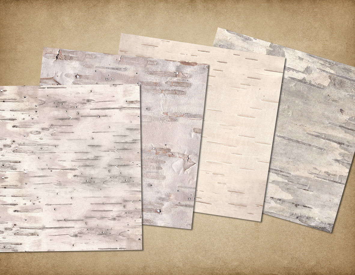 Birch Bark Digital Paperdigital Curio | Thehungryjpeg pertaining to Free Printable Birch Bark Paper