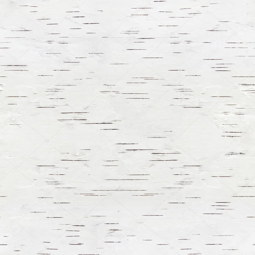 Birch Bark Is Seamless Texture — Stock Photo © Bishindi #63119973 intended for Free Printable Birch Bark Paper