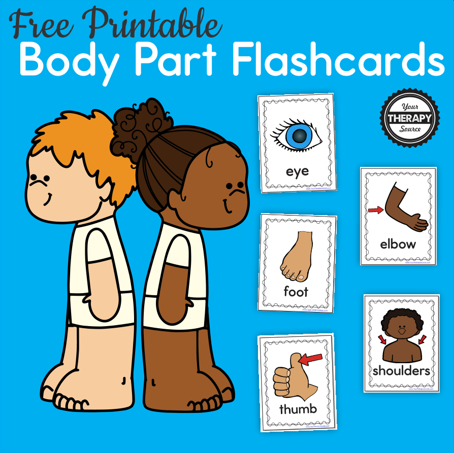 Body Part Flashcards - Free Printables - Your Therapy Source in FREE Printable Body Parts Flashcards