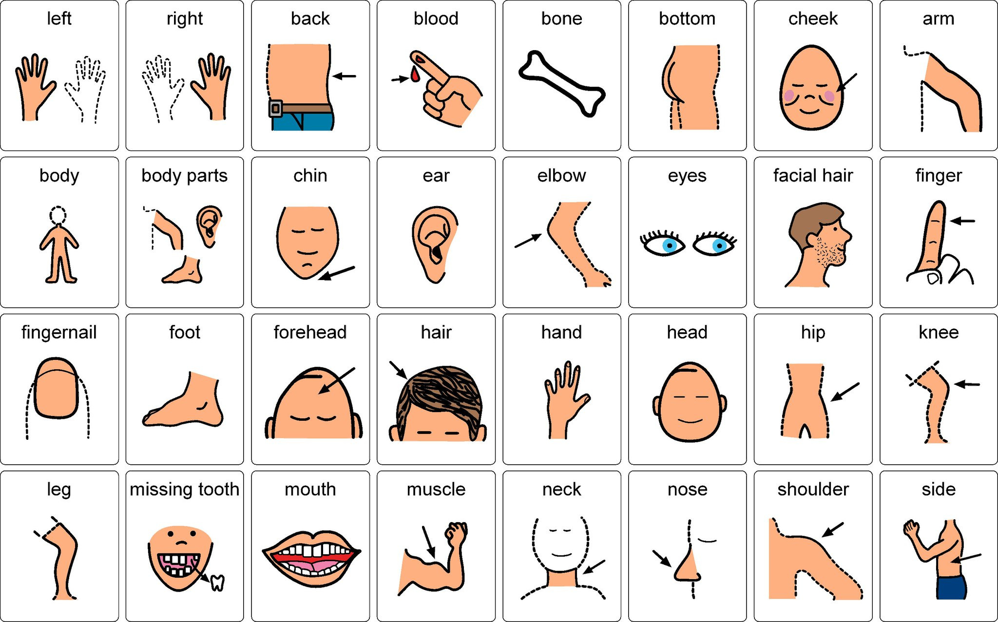 Body Parts – Not Only For Young Learners Or Elementary Students throughout Free Printable Body Parts Poster
