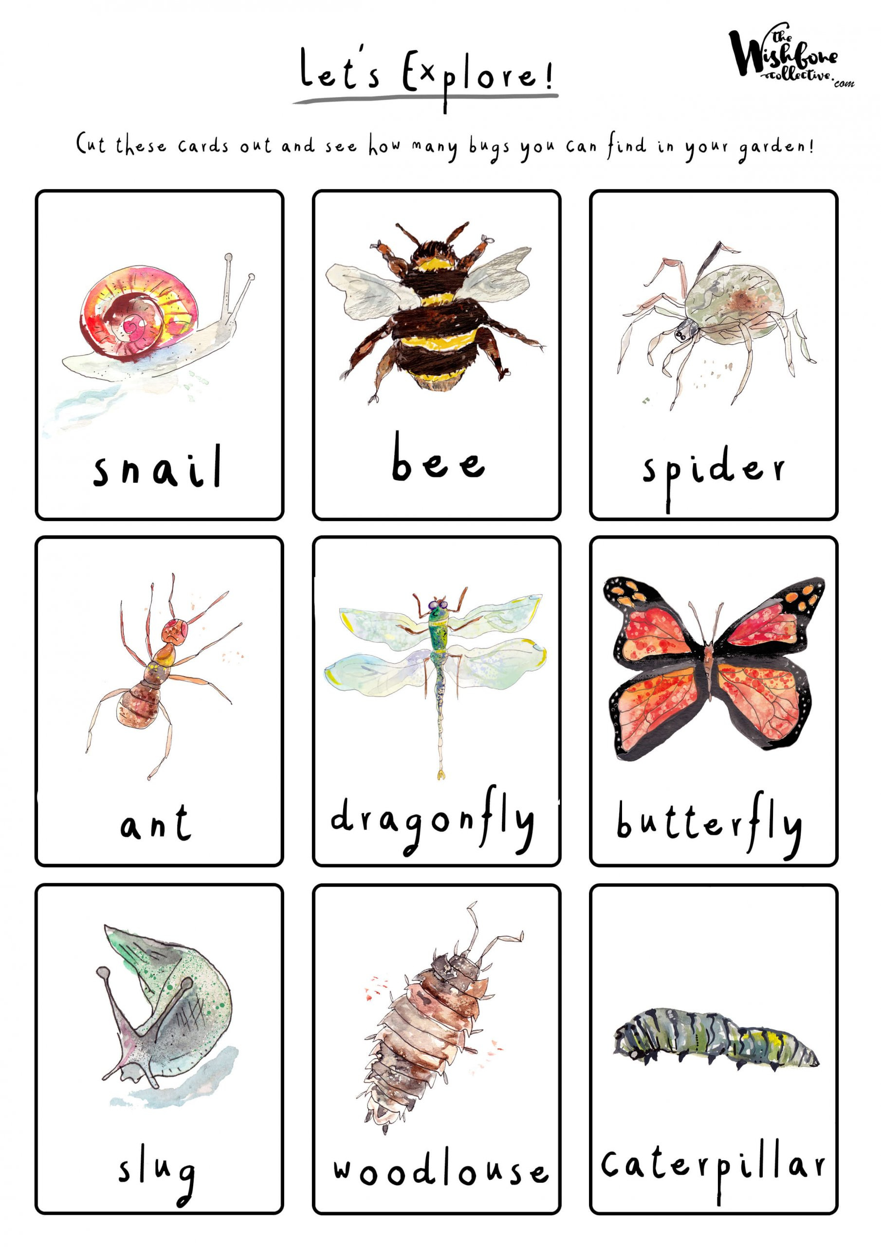 Bug Hunting Cards Download - Where The Wildlings Roam intended for Free Printable Bug Hunt Sheets