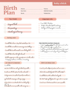 Create Your Perfect Birth Plan (Free Template &amp; Checklist) - Baby with regard to FREE Printable Birth Plan Template