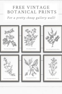 Download This Free Printable Vintage Botanical Wall Art To Create within FREE Printable Botanical Wall Art