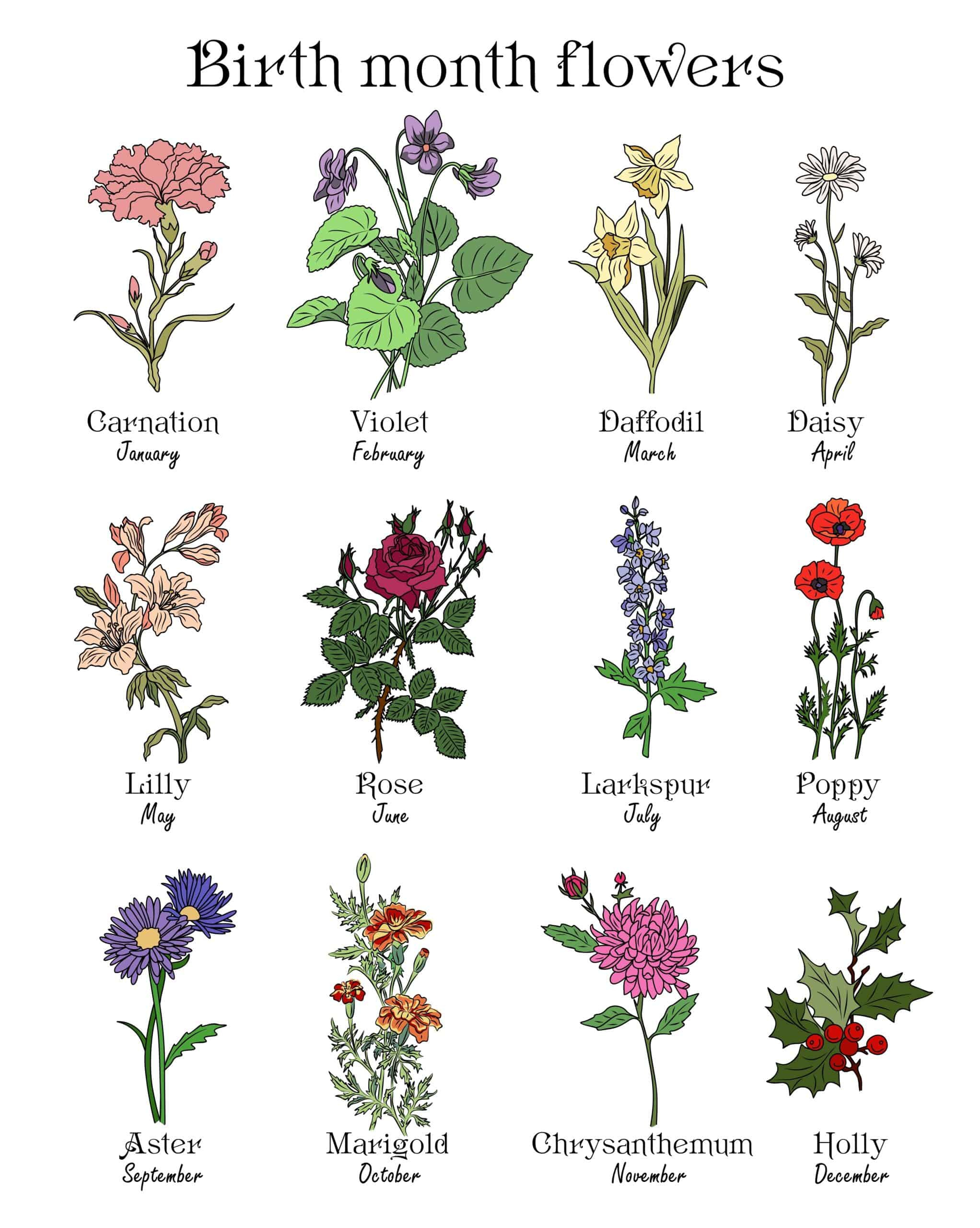 Free Birth Flower Chart, With Meanings regarding Free Printable Birth Month Flowers