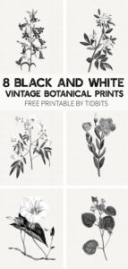 Free Black And White Vintage Botanical Prints inside FREE Printable Black and White Botanical Prints