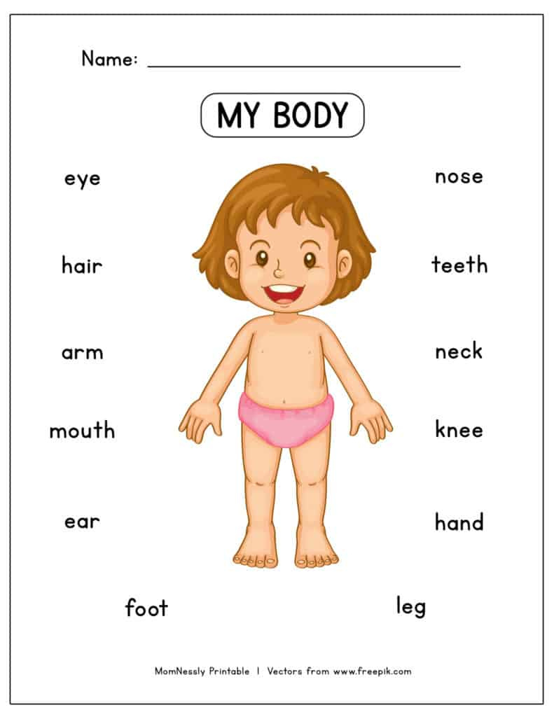 Free Body Parts Worksheet - Tribobot X Mom Nessly in Free Printable Body Parts Worksheets For Preschool