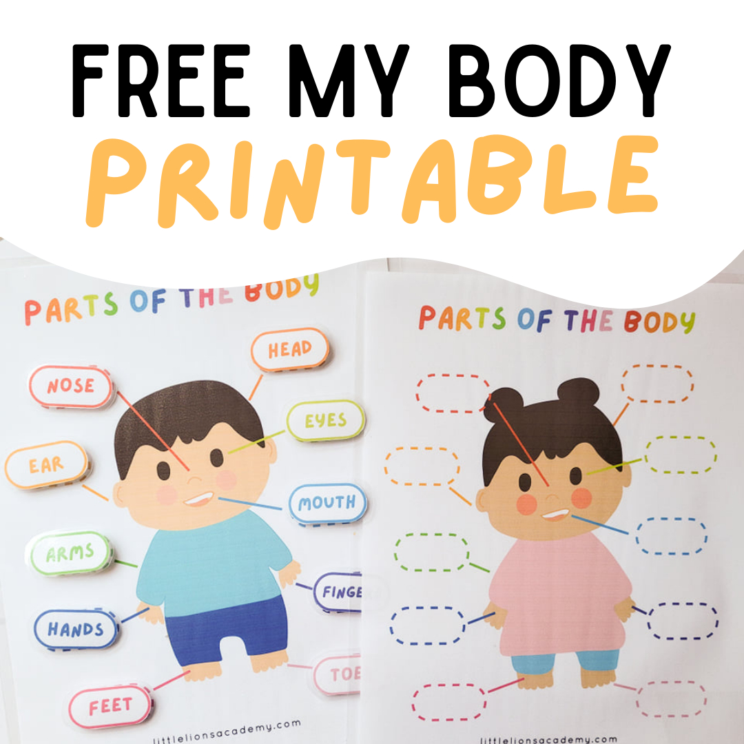 Free &amp;quot;My Body Parts&amp;quot; Printable - Little Lions Academy pertaining to FREE Printable Body Parts Poster