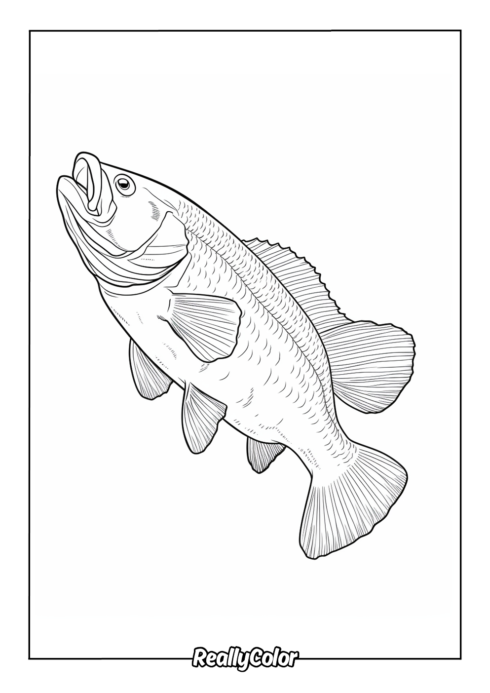 Free Printable Bass Fish Coloring Pages in Free Printable Bass Fish Pictures
