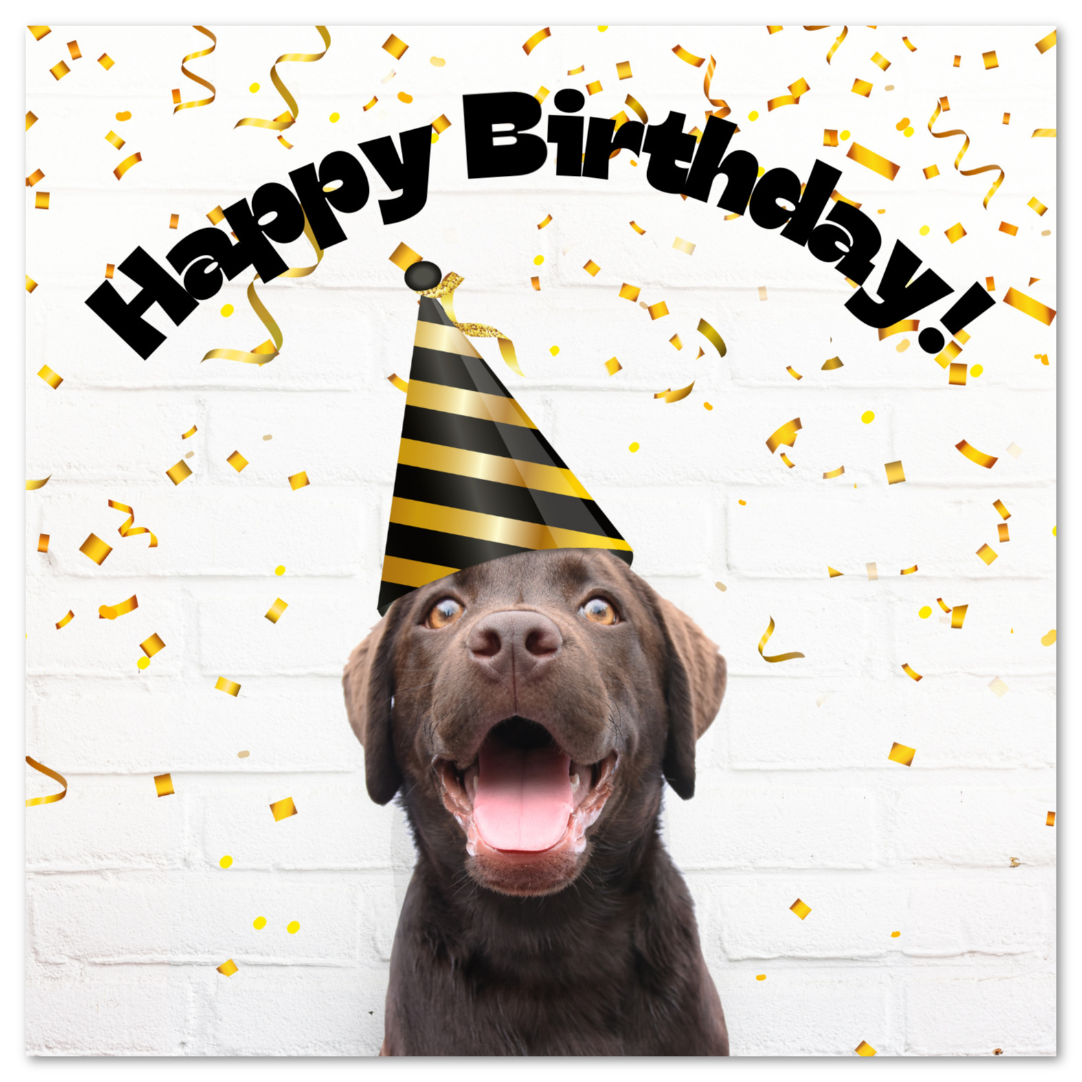 Free Printable Birthday Cards inside FREE Printable Birthday Cards From Dogs