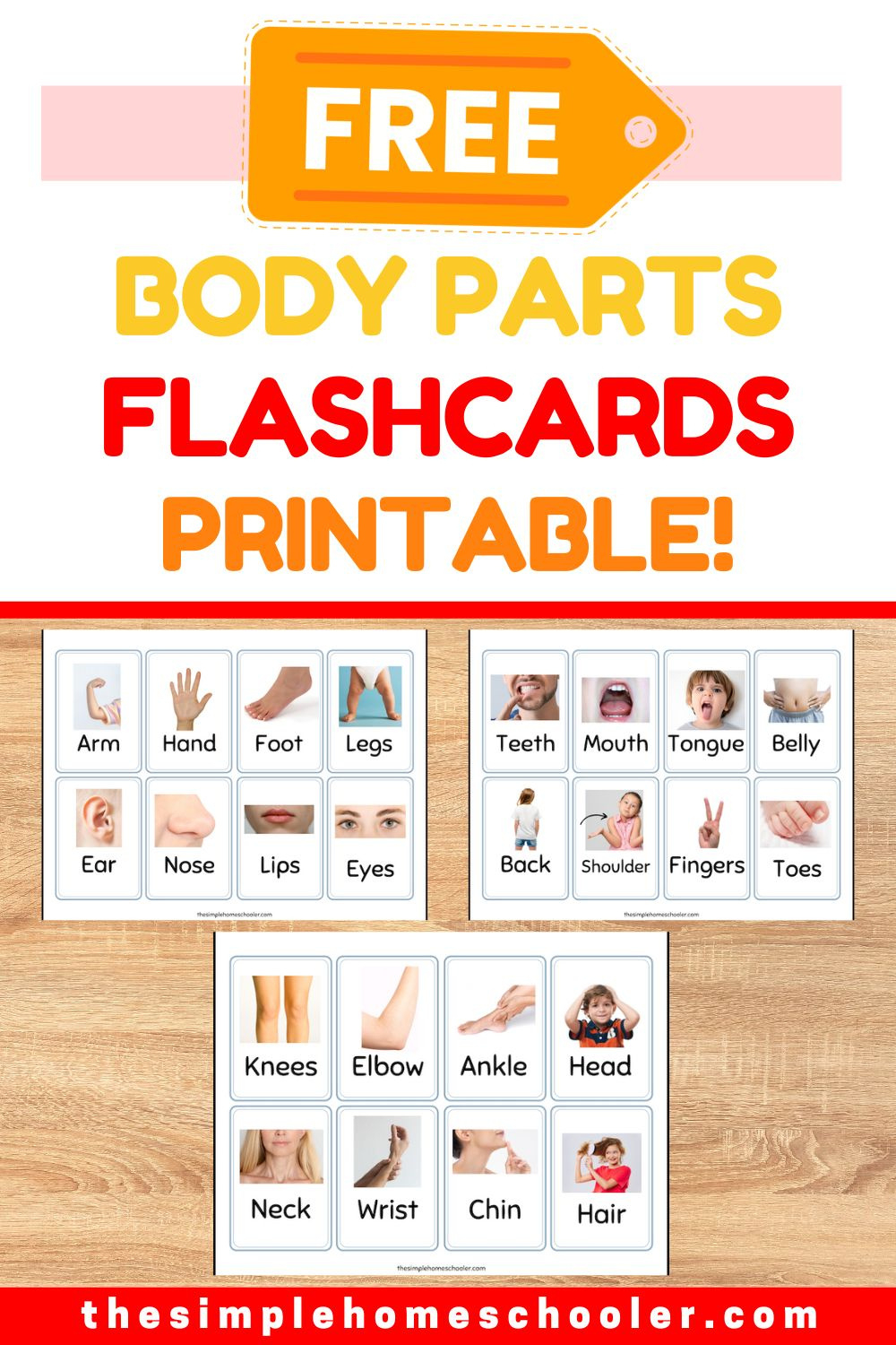 Free Printable Body Parts Flashcards For Kids! - The Simple inside FREE Printable Body Parts Flashcards