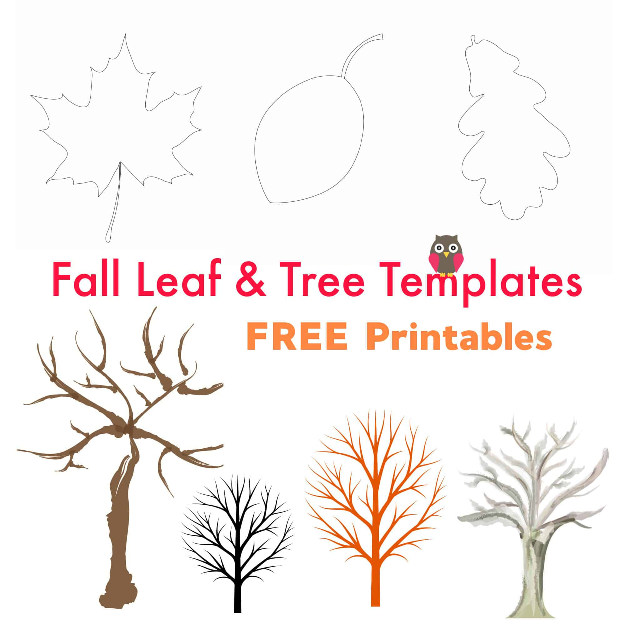 Free Printable Fall Leaf And Tree Templates - Emma Owl for Free Printable Autumn Tree Template