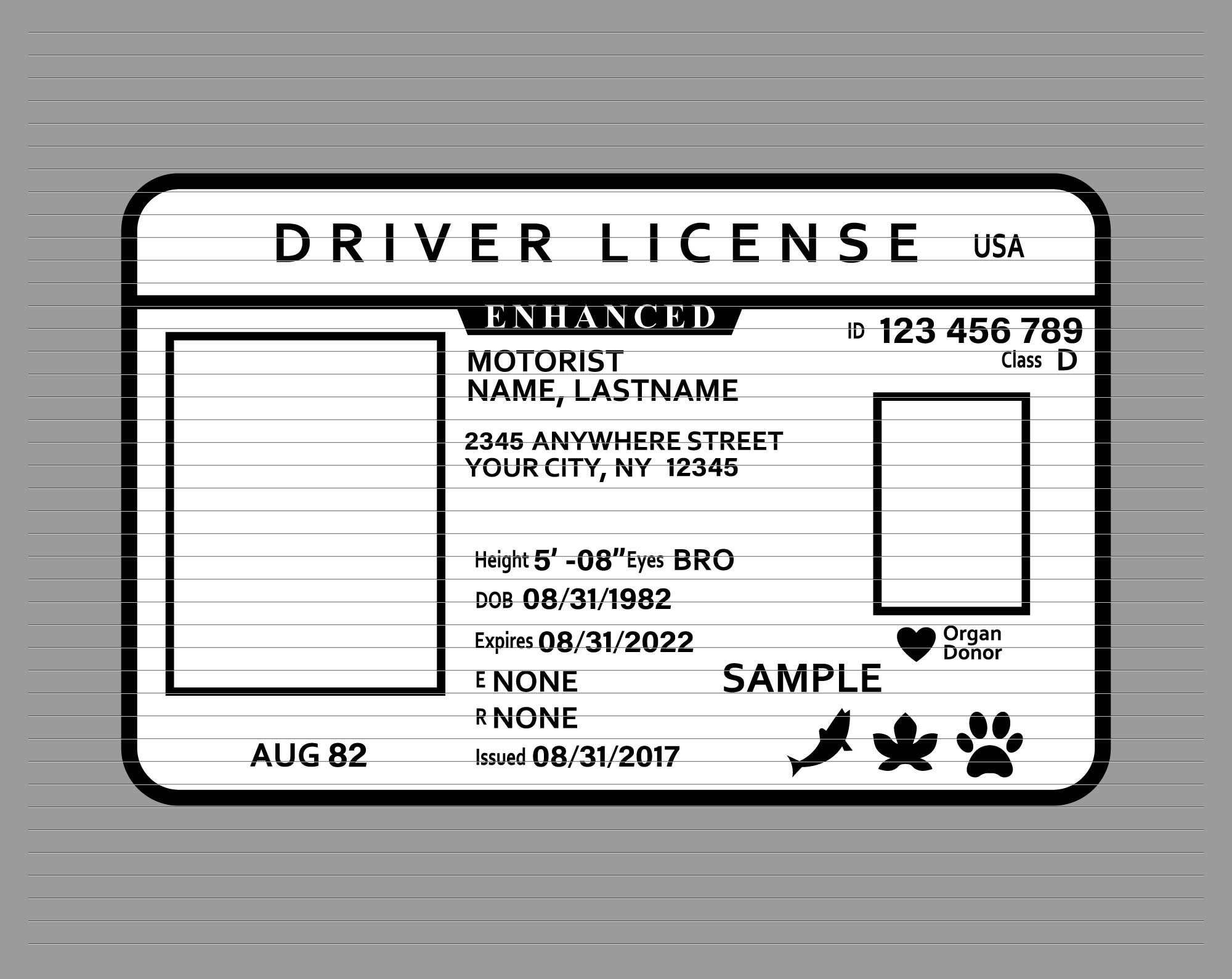 Illinois Driver License Template - Etsy pertaining to FREE Printable Blank Illinois Drivers License Template