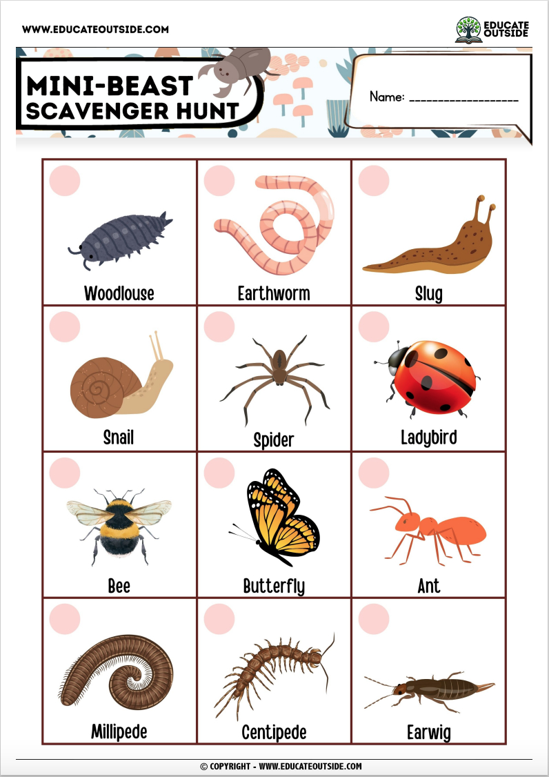 Insect Scavenger Hunt | Free Download with regard to Free Printable Bug Scavenger Hunt