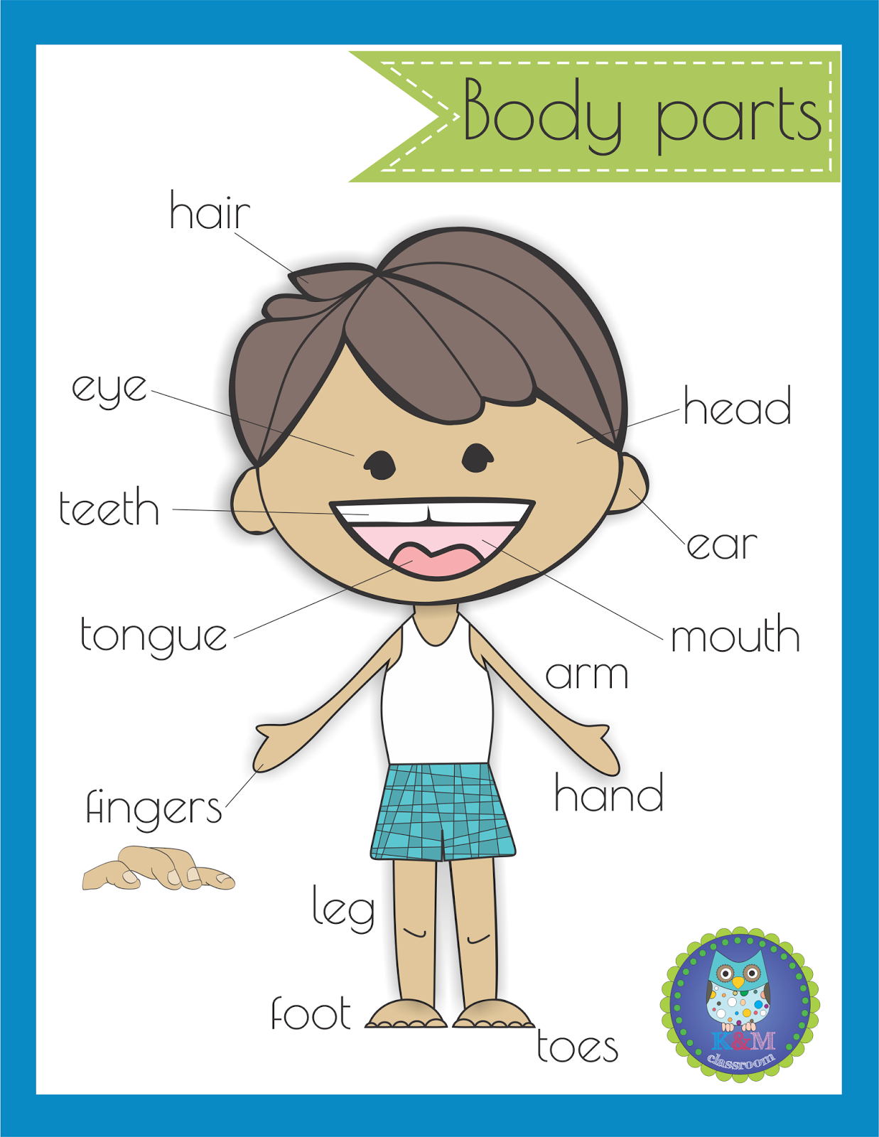 Km Classroom: Free Body Parts Poster with regard to Free Printable Body Parts Poster