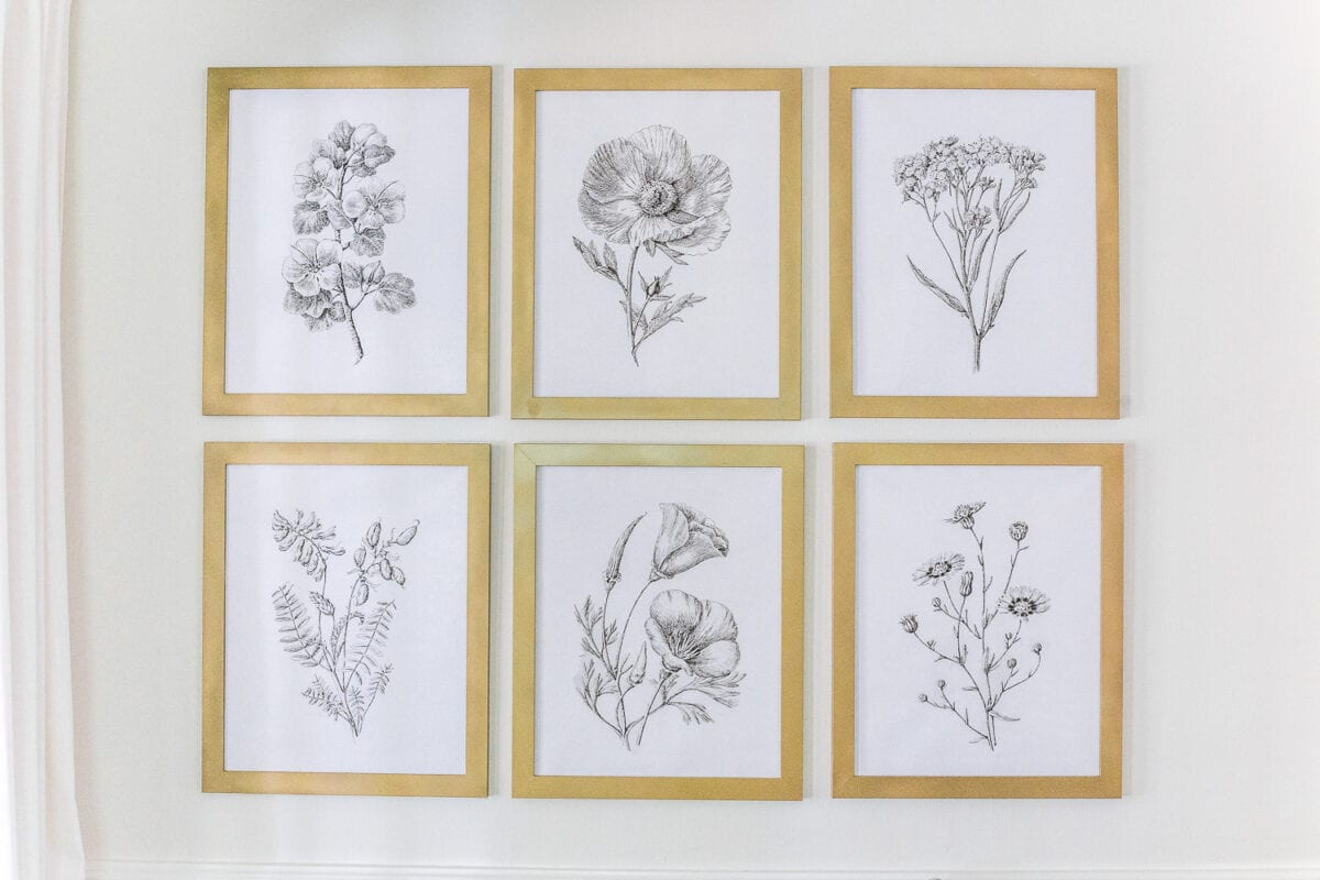 Modern Minimalist Botanical Printable Set - Bless&amp;#039;Er House with FREE Printable Black and White Botanical Prints