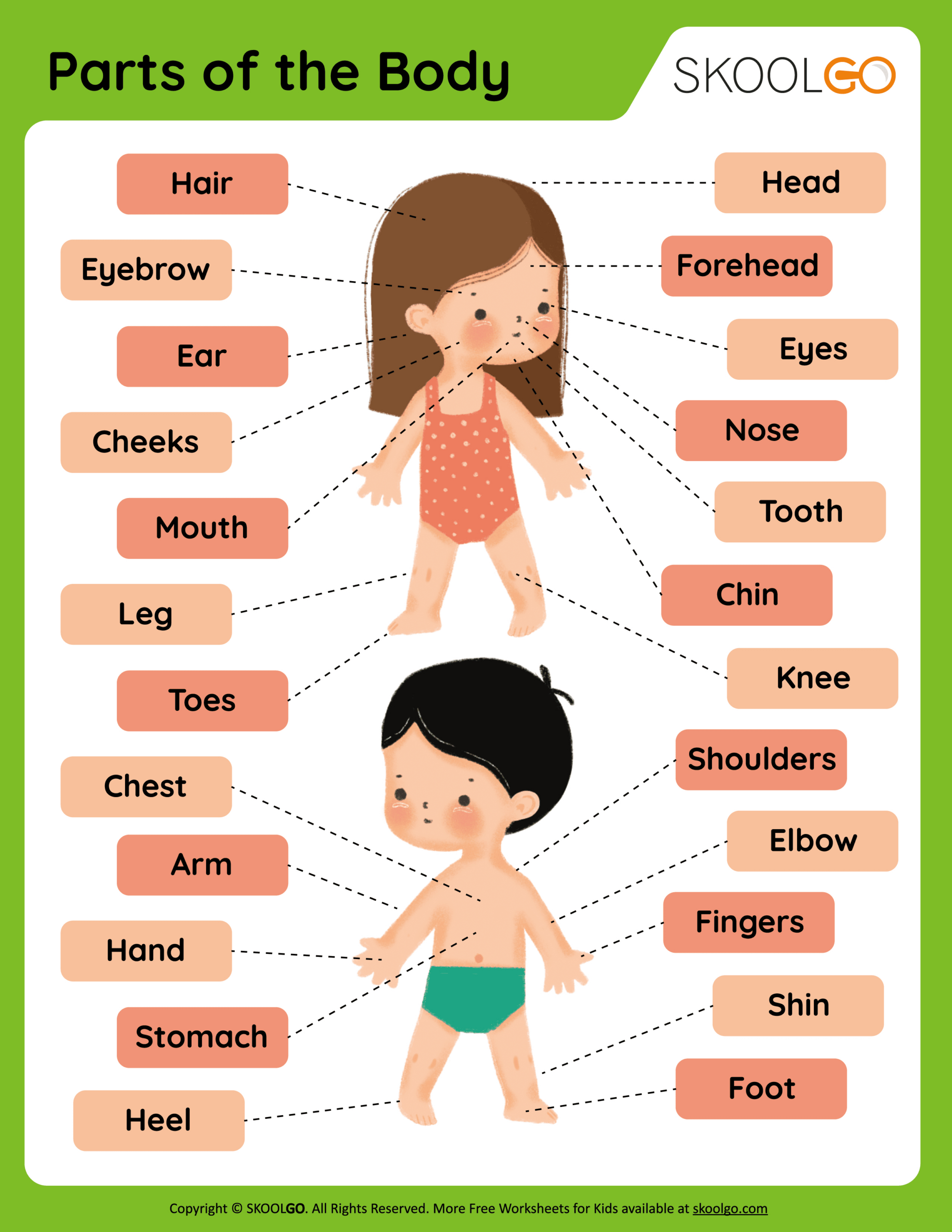 Parts Of The Body - Free Worksheet - Skoolgo regarding FREE Printable Body Parts Worksheets