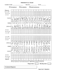 Perio Chart Form ≡ Fill Out Printable Pdf Forms Online regarding FREE Printable Blank Perio Chart