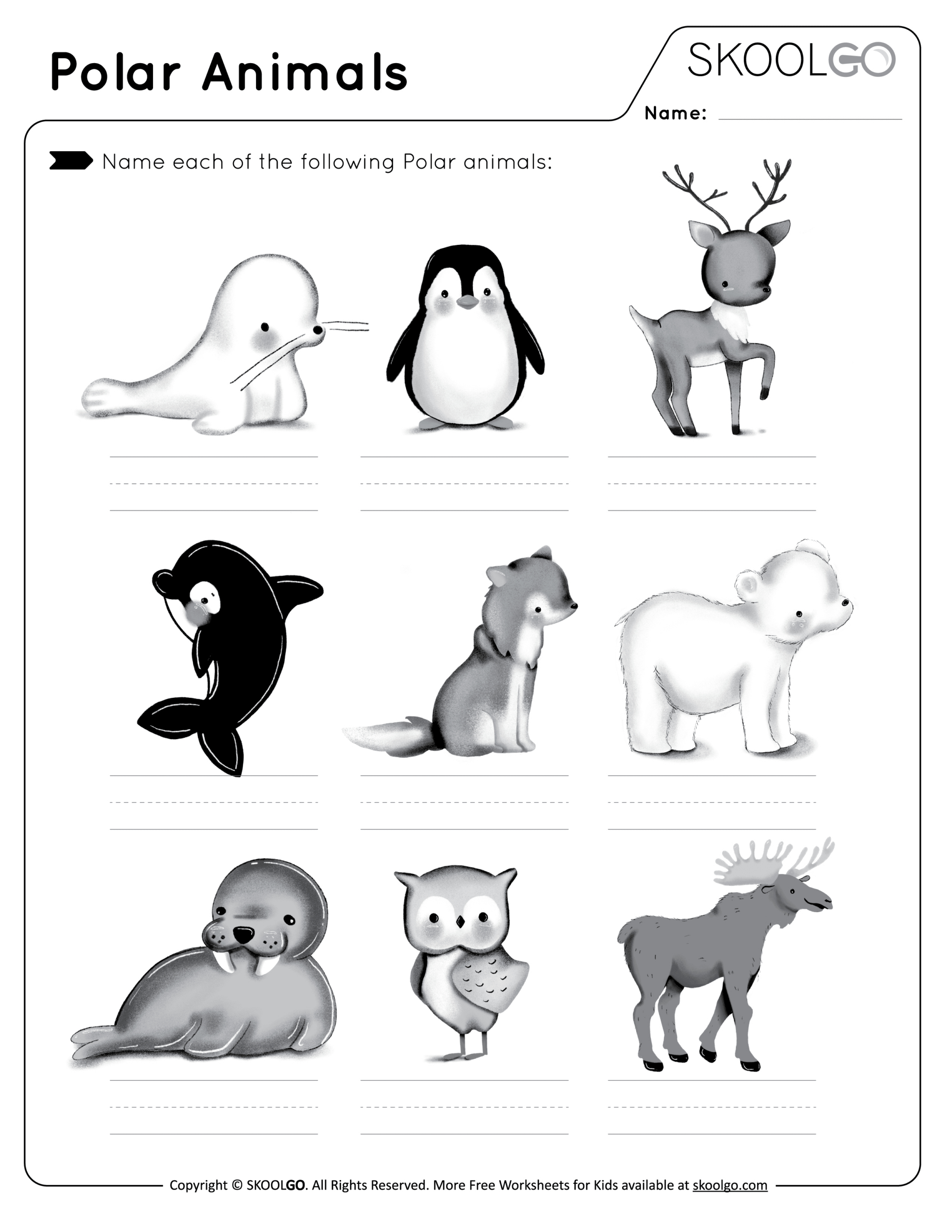 Polar Animals - Free Worksheet - Skoolgo intended for Free Printable Arctic Animals Worksheets