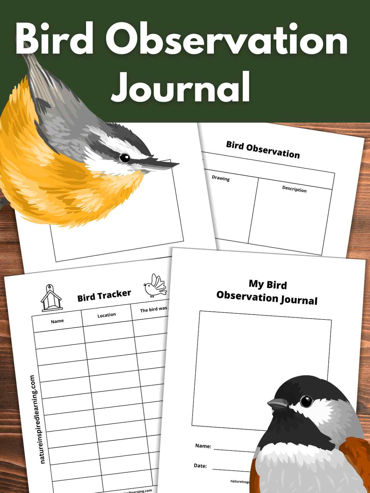 Printable Bird Watching Journal - Nature Inspired Learning for FREE Printable Bird Watching Checklist