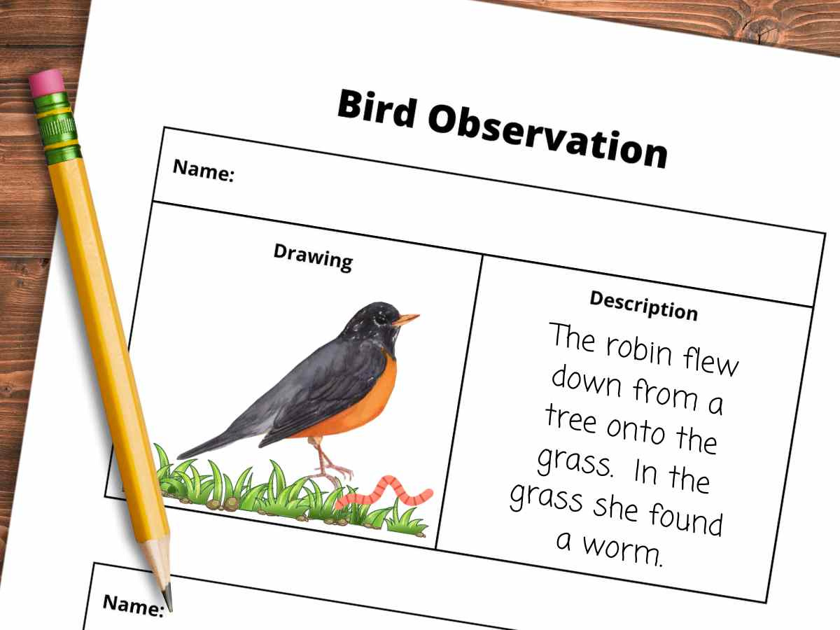 Printable Bird Watching Journal - Nature Inspired Learning pertaining to Free Printable Bird Watching Journal