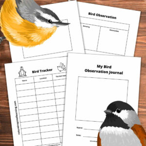 Printable Bird Watching Journal - Nature Inspired Learning with FREE Printable Bird Watching Journal