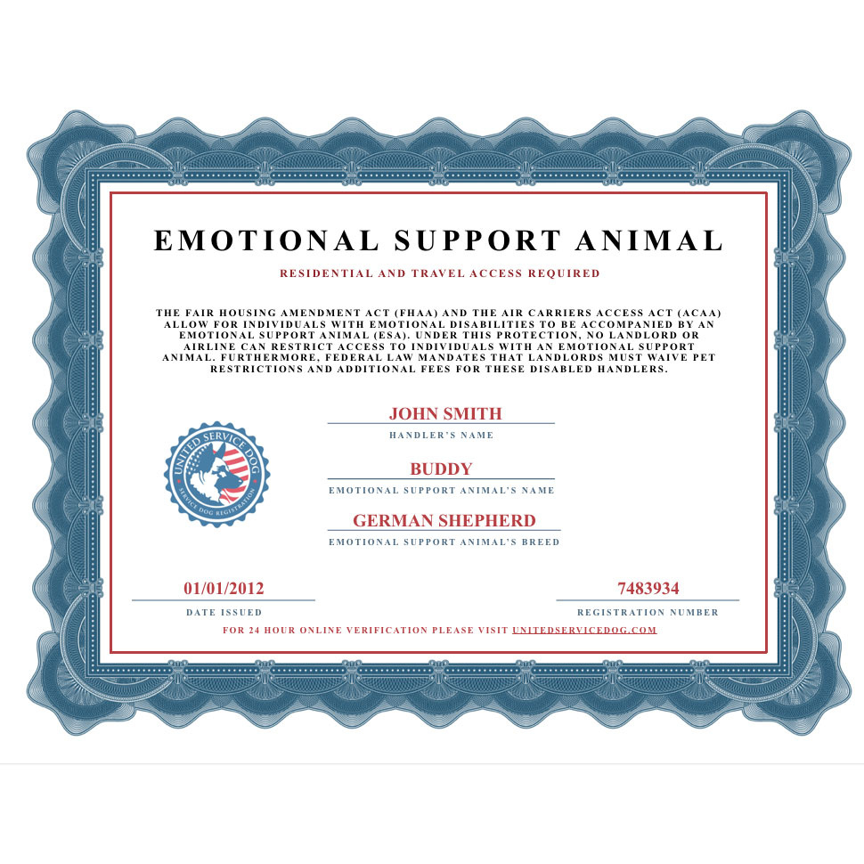 Service Animal Certificate Template Esa Certification Free intended for FREE Printable Blank Emotional Support Animal Certificate