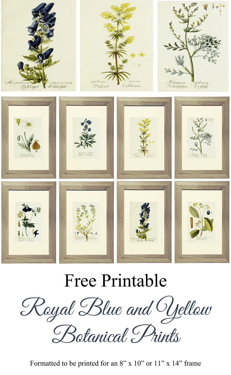 Vintage Botanical Prints For Free! {Printable Art} for FREE Printable Botanical Wall Art